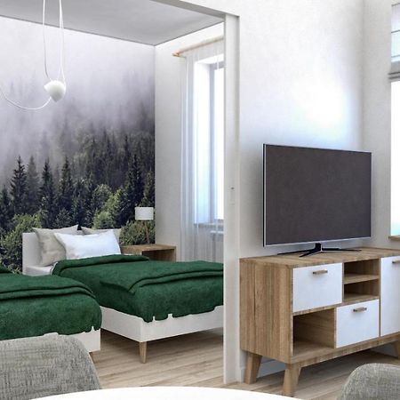 Apartament Przy Krupowkach ザコパネ エクステリア 写真