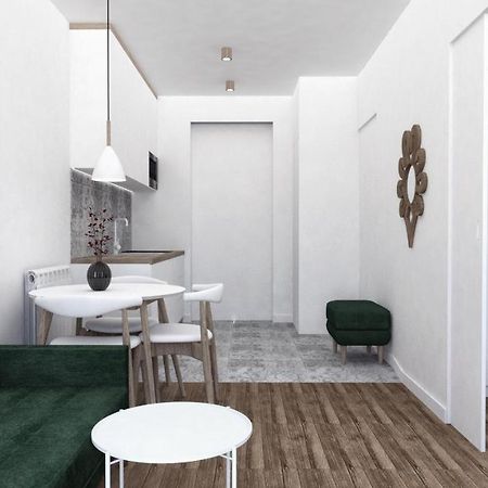 Apartament Przy Krupowkach ザコパネ エクステリア 写真
