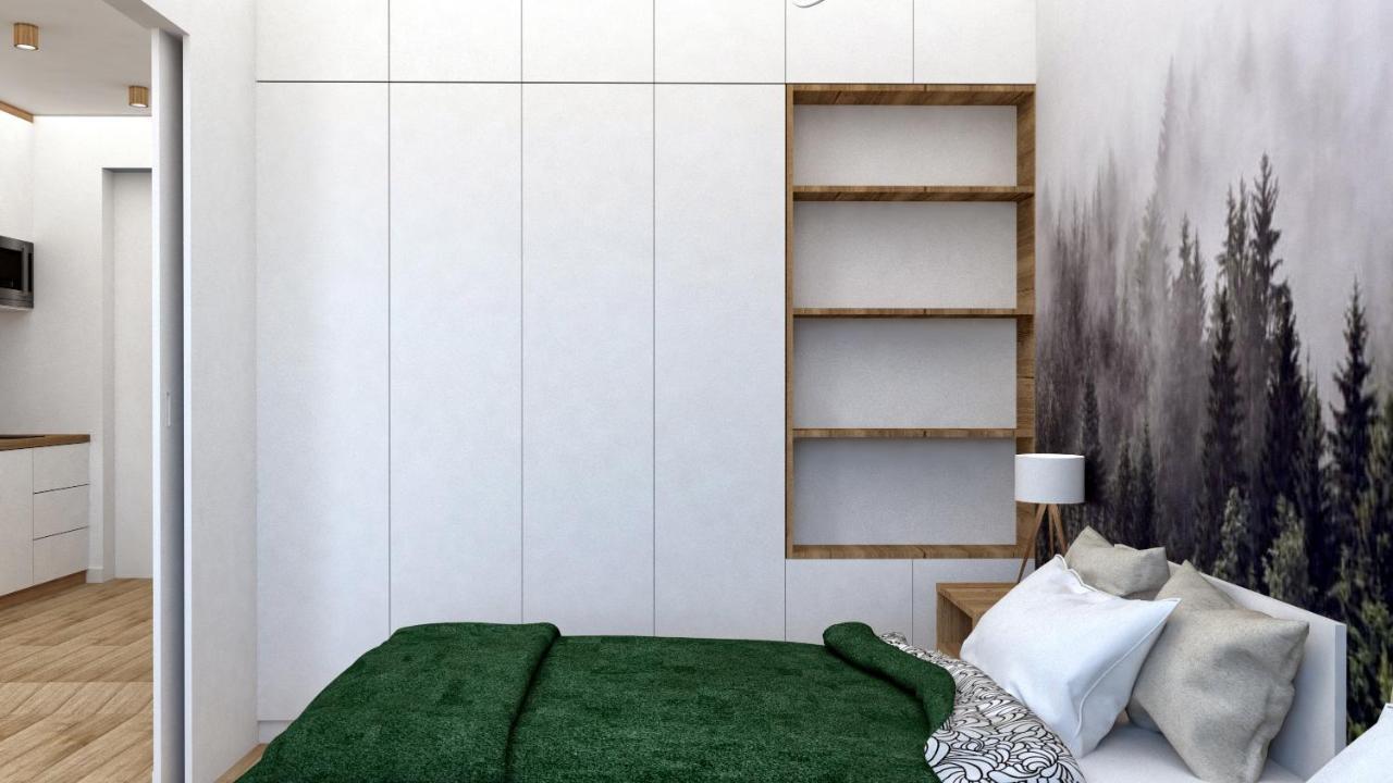 Apartament Przy Krupowkach ザコパネ エクステリア 写真